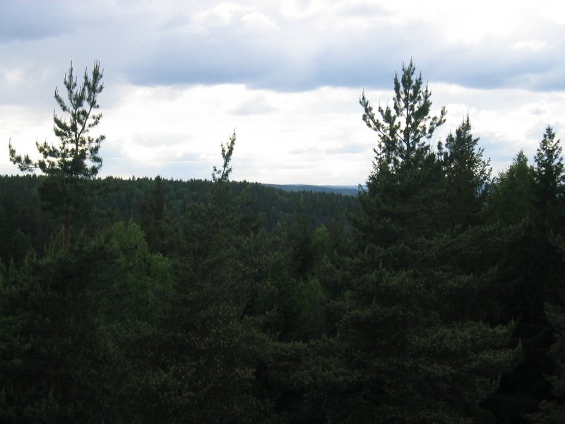 Image 3 of 55  -  70 kB
