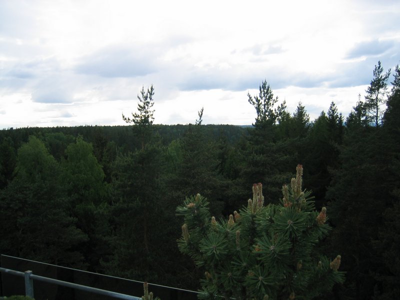 Image 5 of 55  -  69 kB