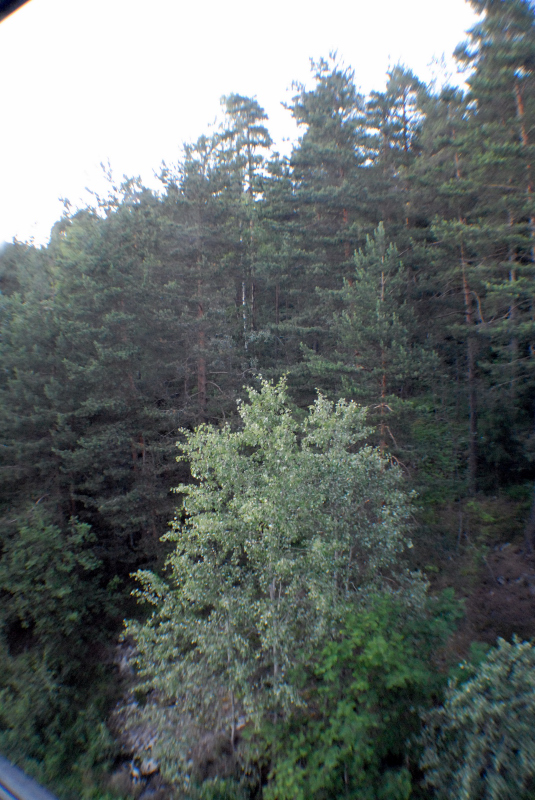 Image 17 of 17  -  381 kB
