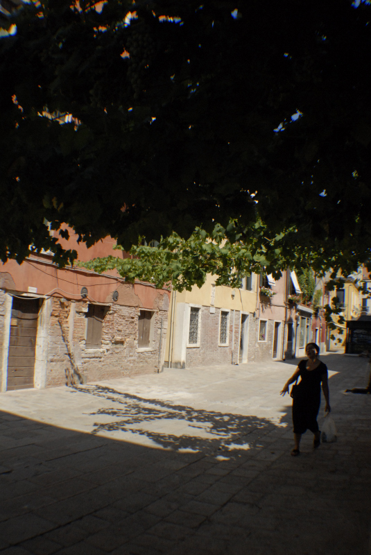 Image 54 of 197  -  330 kB