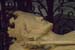2007_03_16_StMerry_StDenis_IMG7064